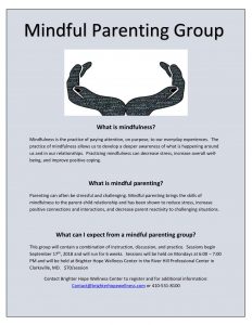 Mindful Parenting groups begin September 17th. Contact us to register!!
