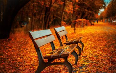 Empty Fall Benches